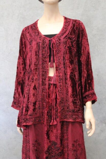 Velvet Revival Braid Emb Jacket IN 4 COLOURS! - Image 11