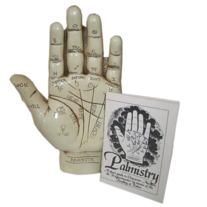 Palmistry Hand Kit