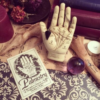 Palmistry Hand Kit
