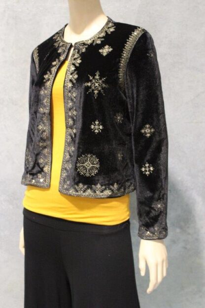 Raja Embroidered Velvet Jacket - Image 4
