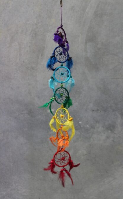 Chakra Line Dreamcatcher